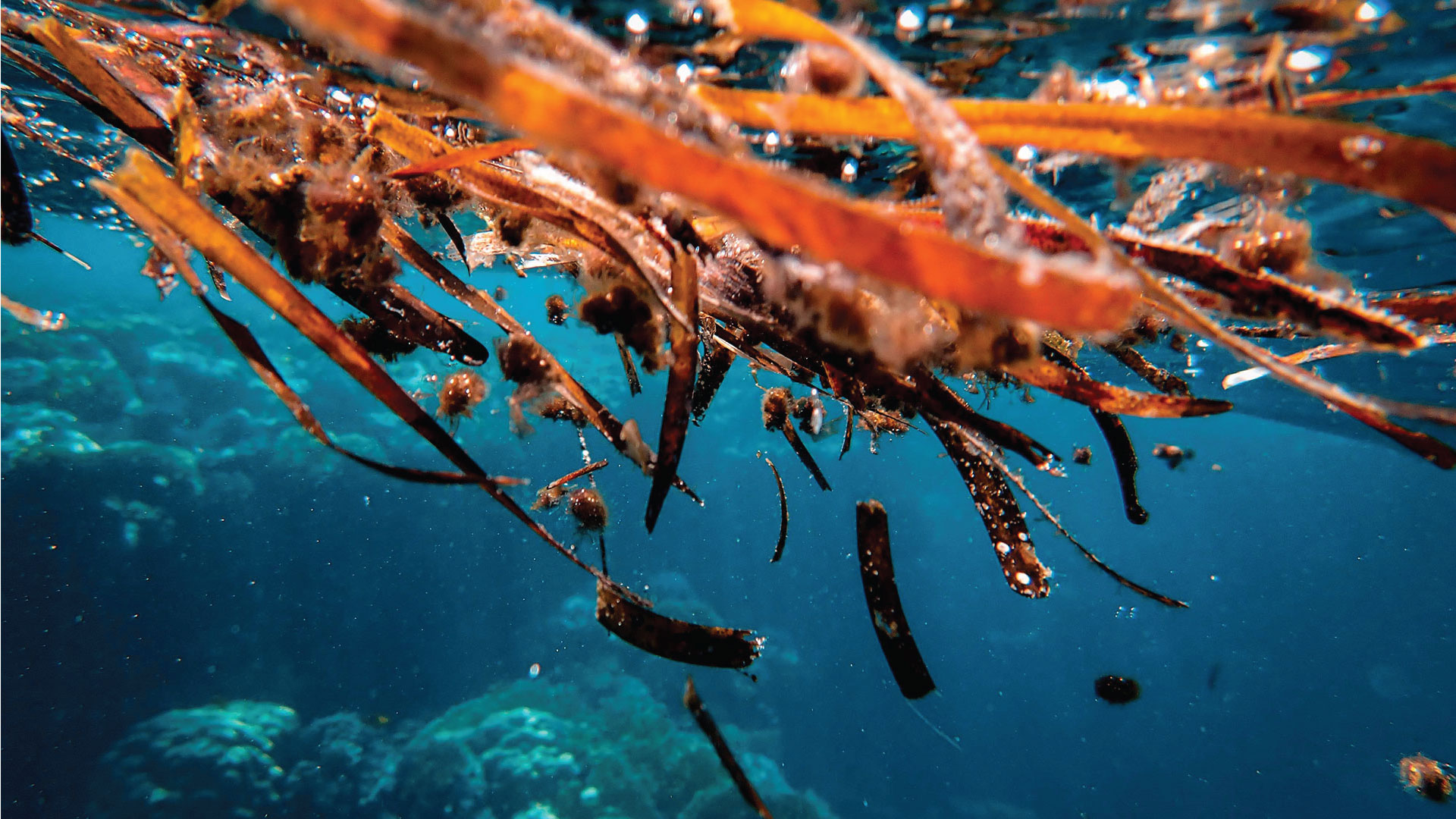 EC funding opportunities for EABA members