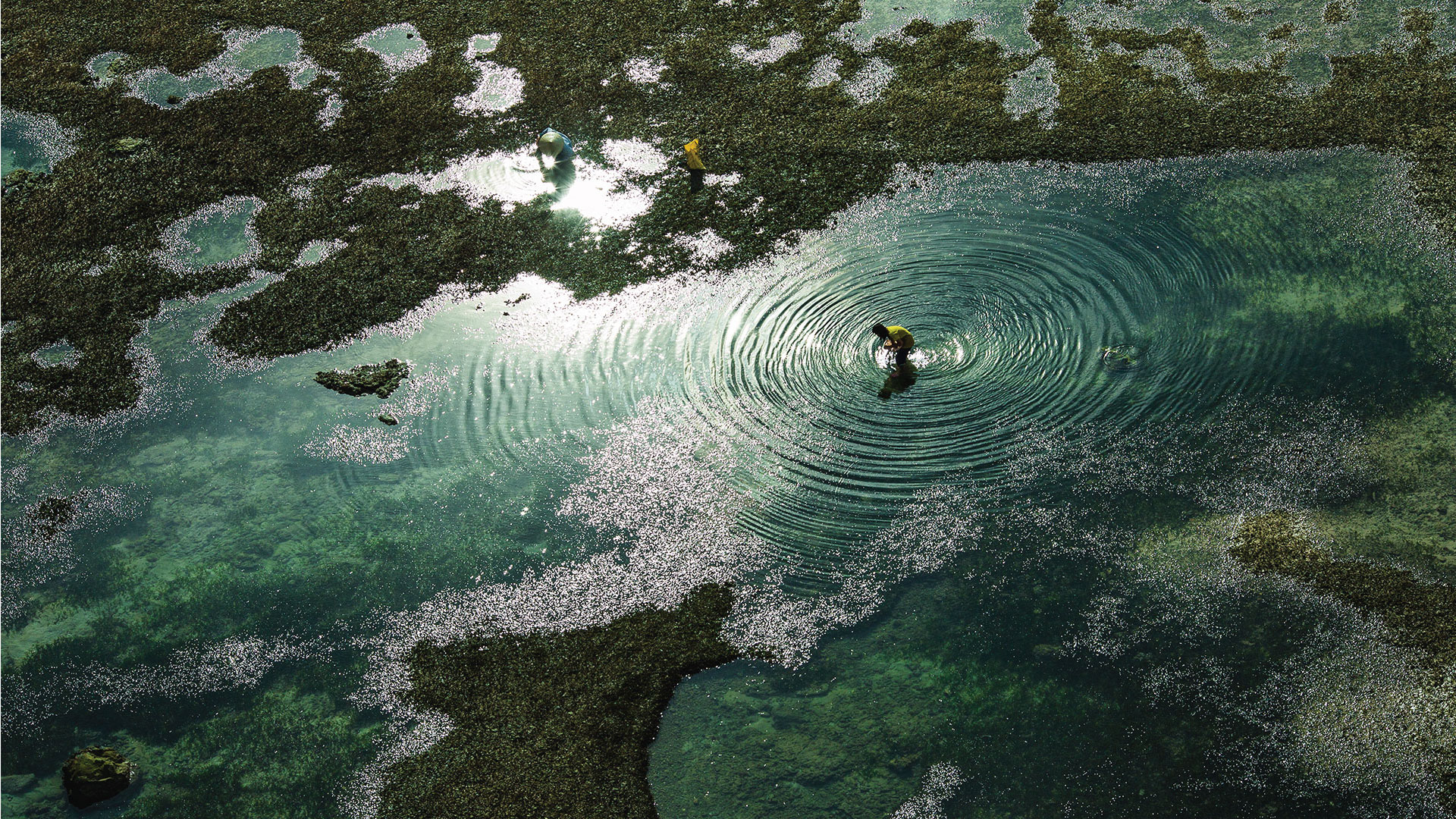 New food sources and production systems: implications for food safety