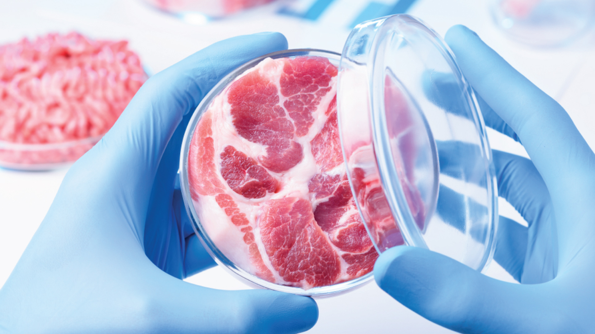 The regulatory framework – the perspective from EFSA