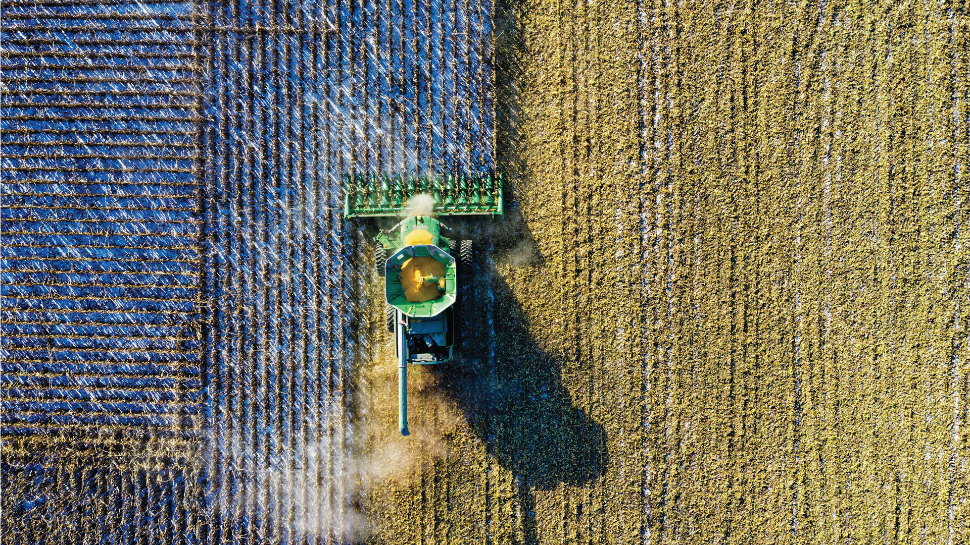 Evaluation of the plant biostimulant effects of selected Chlorophyta microalgae