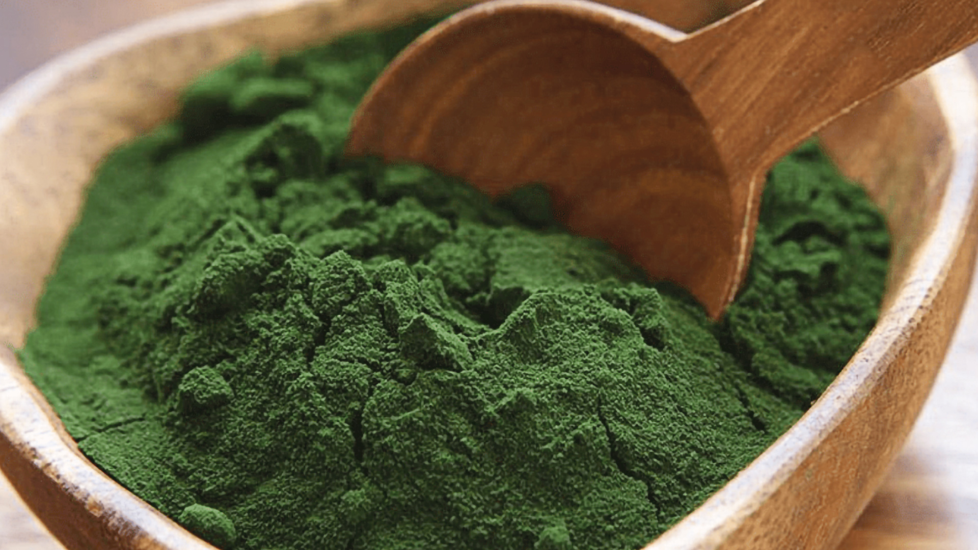 Regulatory considerations for alternative proteins derived from algae